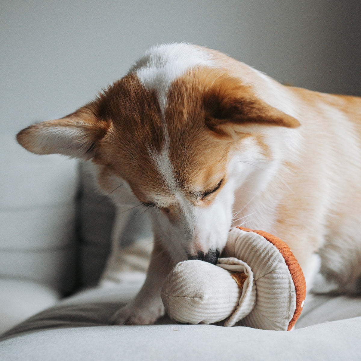 Mushroom Snuffle Toy