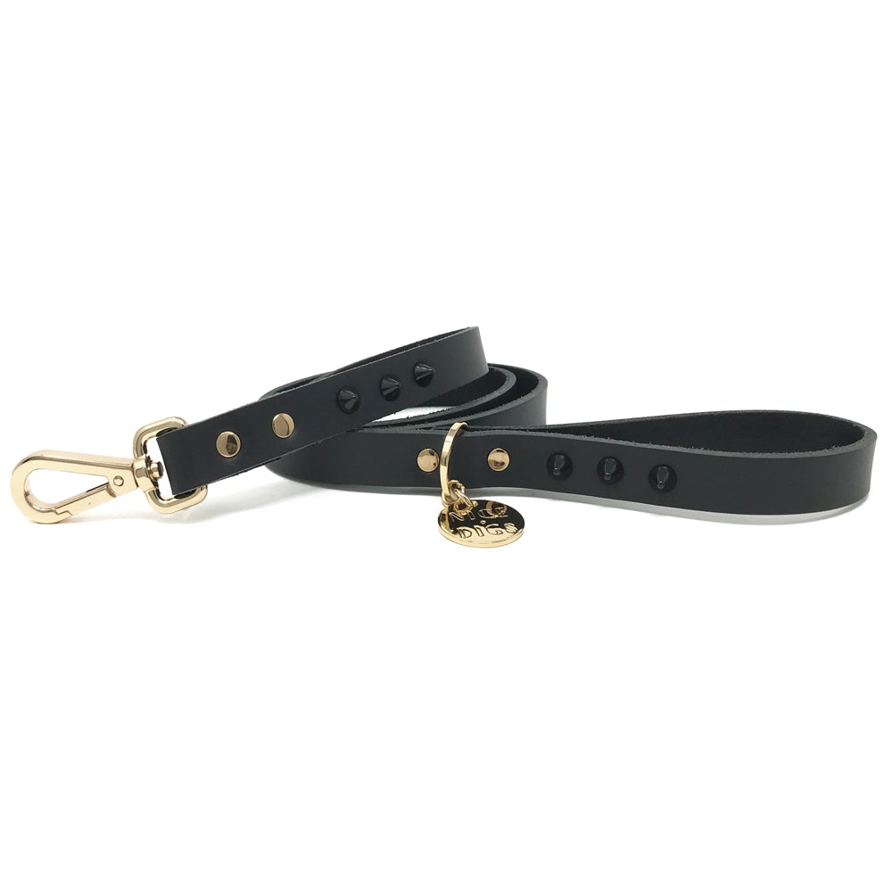 Dog leash deals with spikes