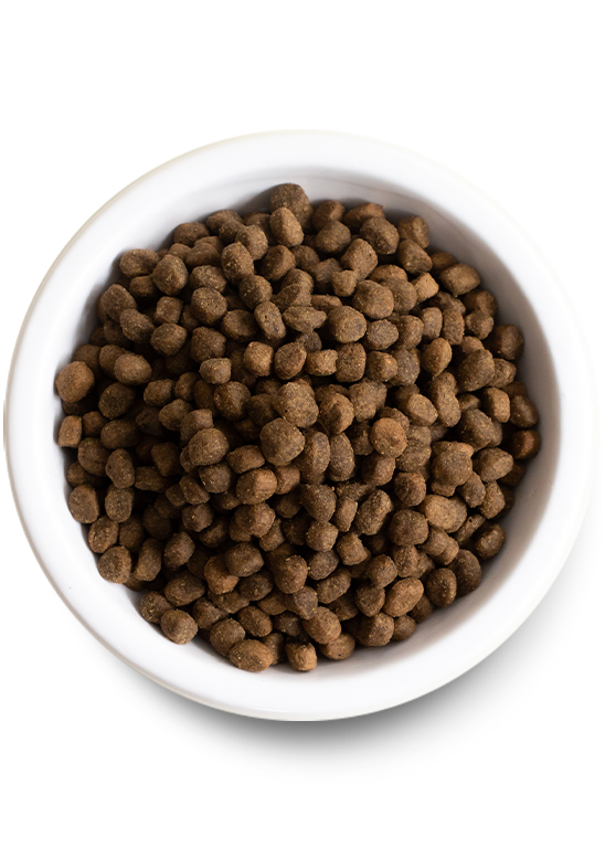 Open farm beef dog food sale