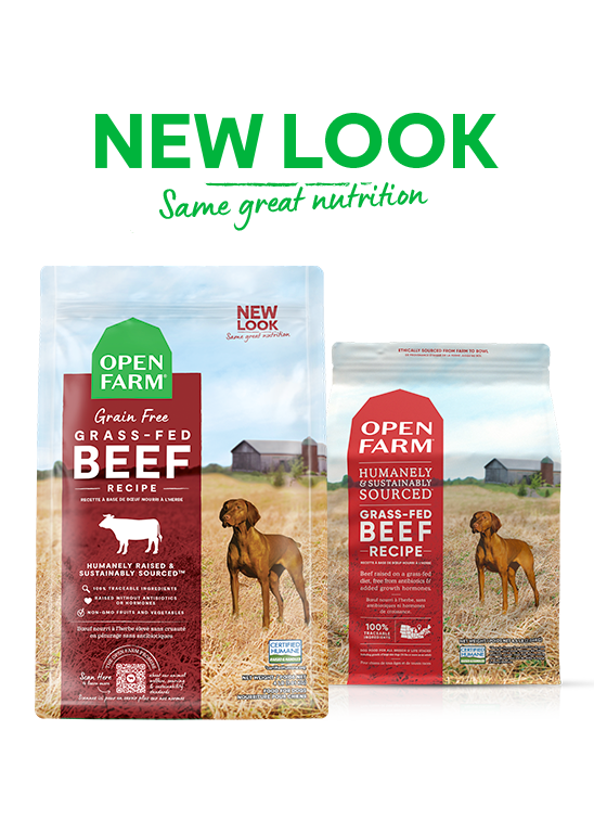 OPEN FARM Grass Fed Beef Dry Dog Food beige bright