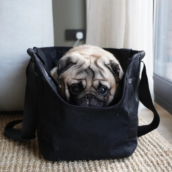 SUBWAY // Canvas Pet Carrier