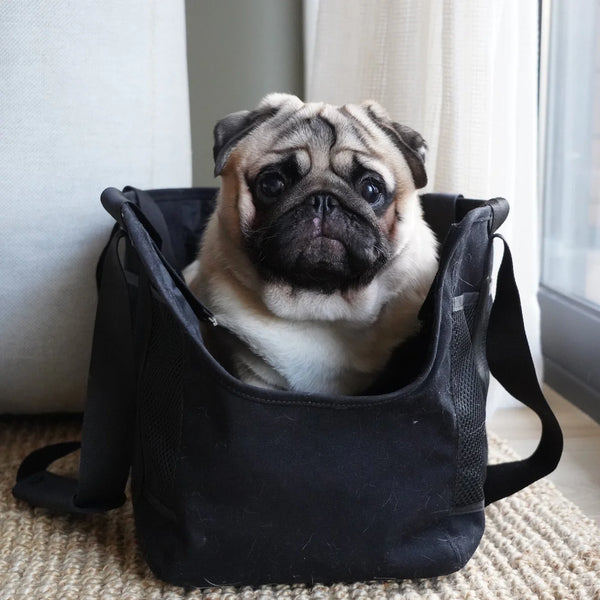 SUBWAY // Canvas Pet Carrier