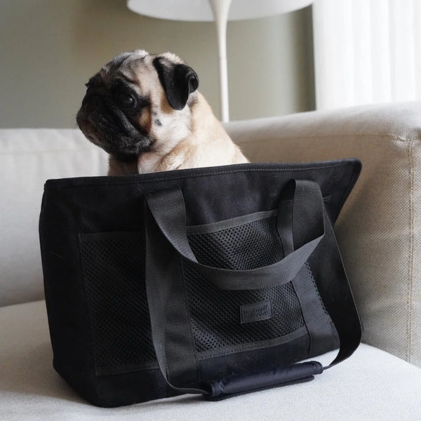 SUBWAY // Canvas Pet Carrier