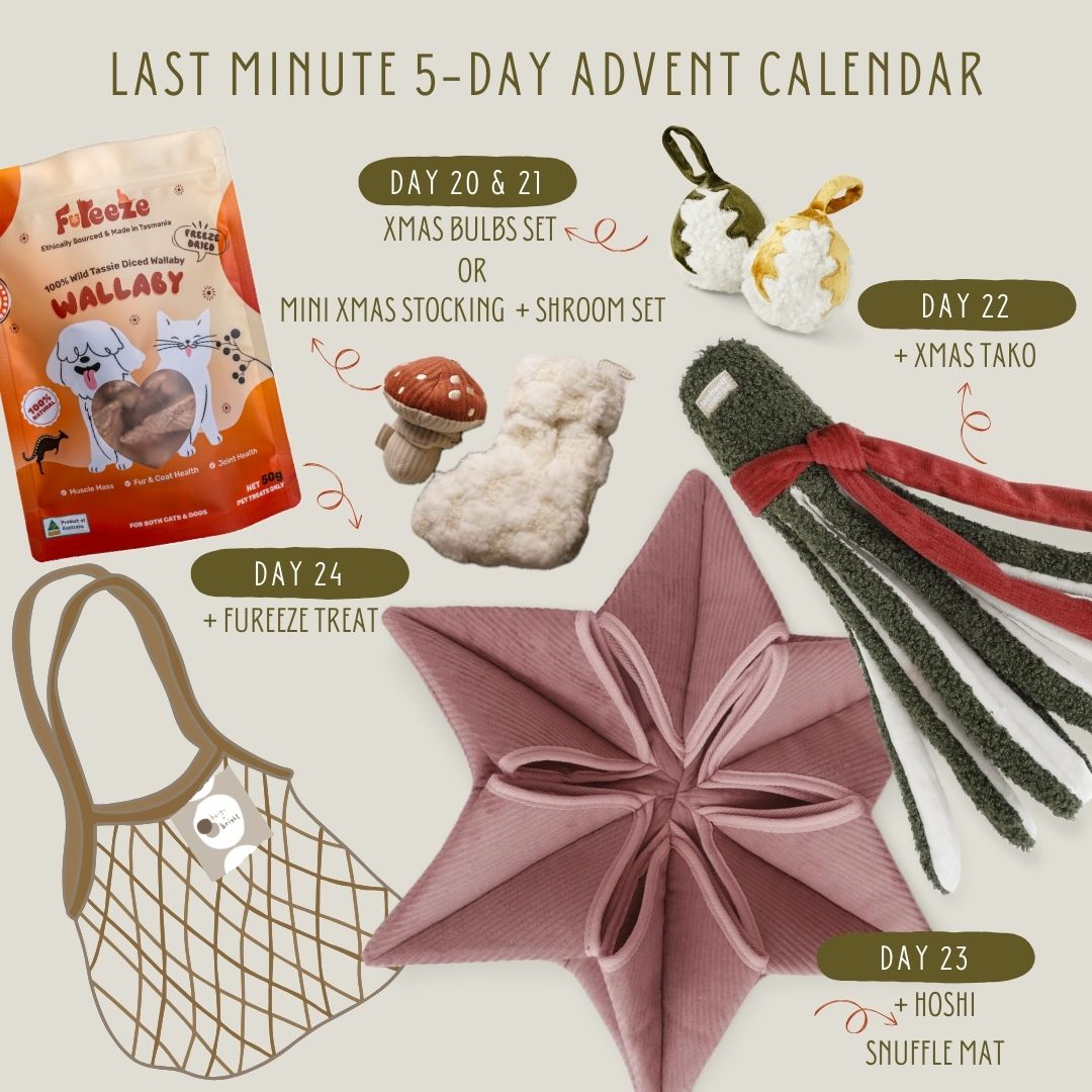 beige + bright Last Minute 5-Day advent calendar