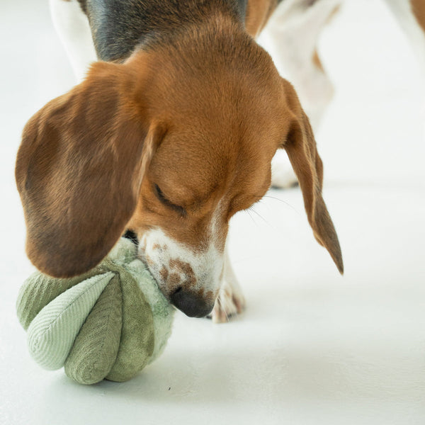 Lambwolf TOTO // ULTRASONIC Snuffle Ball