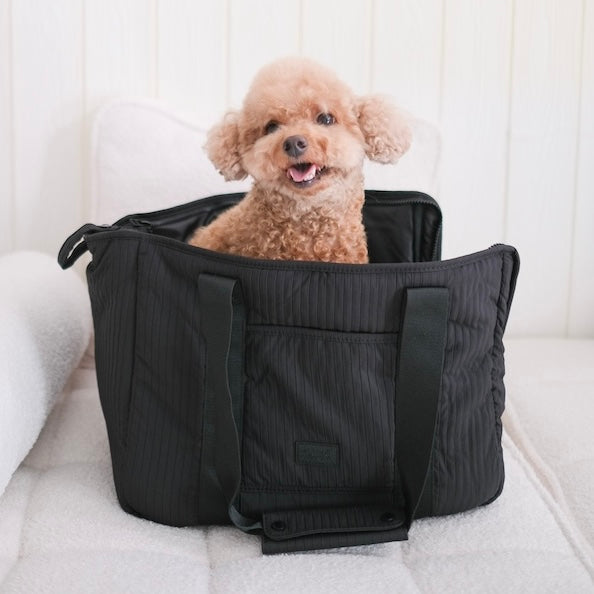 CITY // Mesh cover pet carrier