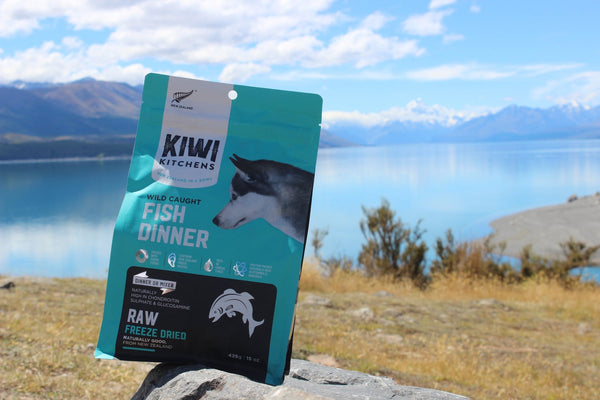 Kiwi Kitchens Raw Freeze Dried Dog Food - Fish