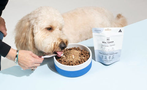 Houndztooth Calming Health Freeze Dried Meal Topper