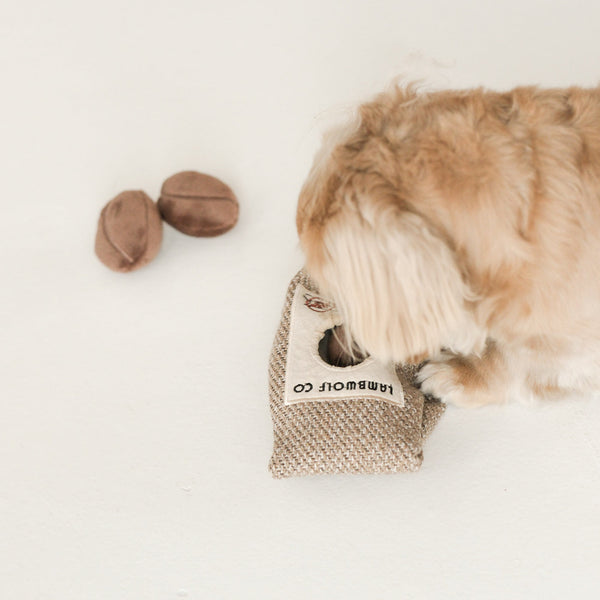 COFFEE BEANS // burrow + squeaky