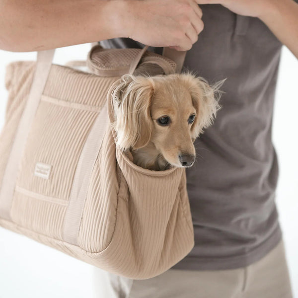 CITY // Mesh cover pet carrier