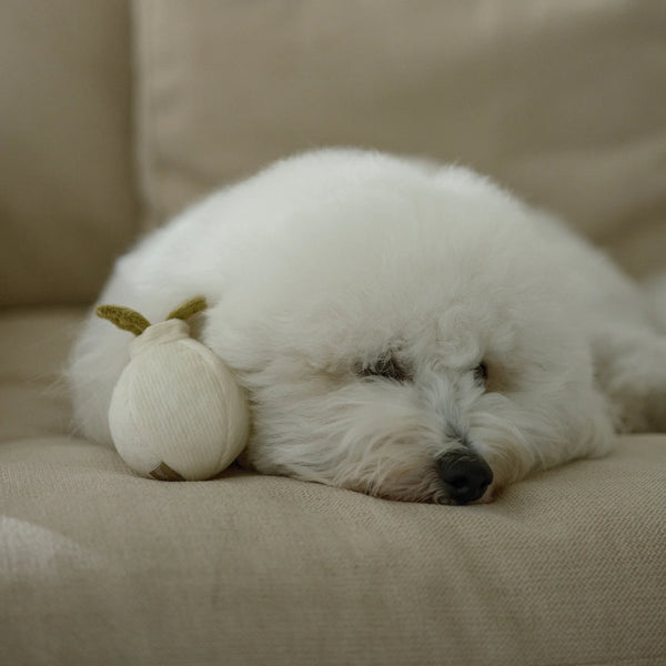 LAMBWOLF GARLIC POP // bouncy + squeaky