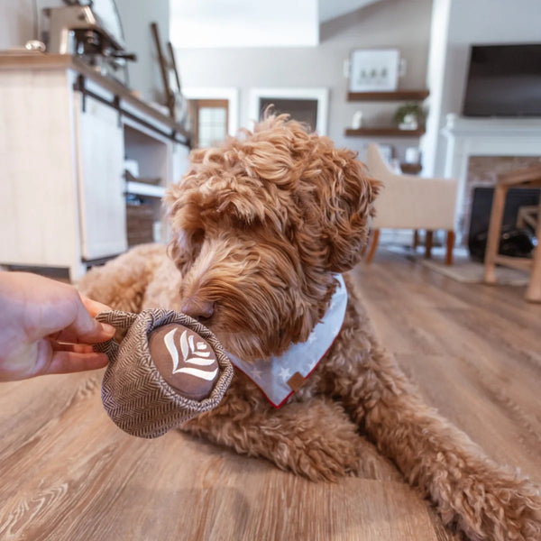 Lambwolf LATTE POP // Squeaky + Snuffle