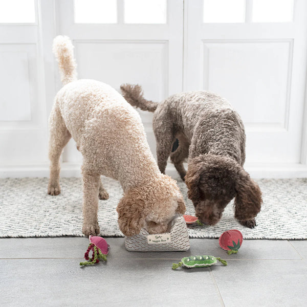 Sophie Allport Veggie Box Dog Toy Set