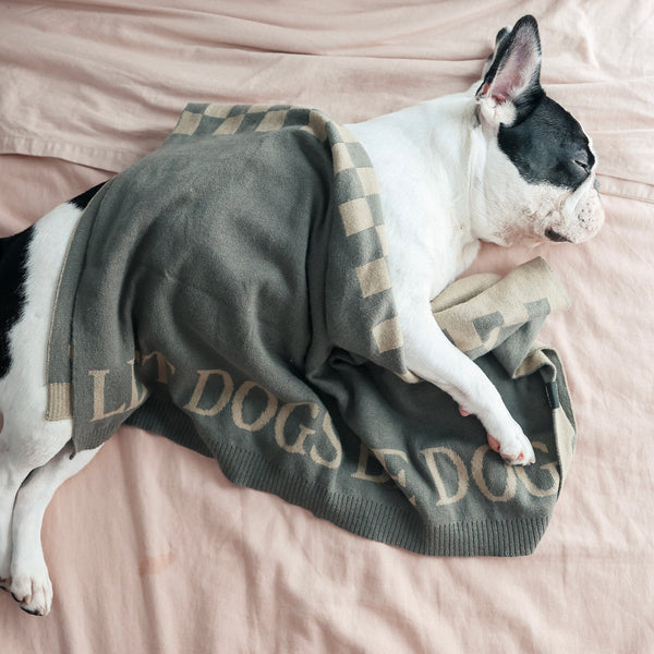 LET DOGS BE DOGS BLANKET // 100% ultra sofa cotton