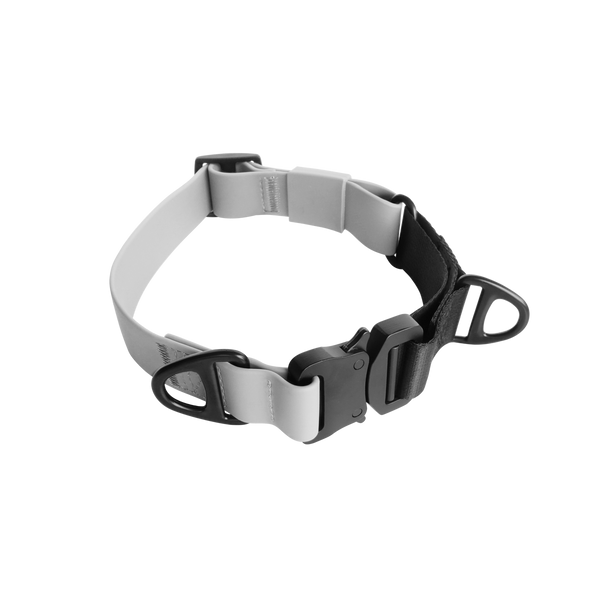AVA MARTINGALE // Quick-release metal buckle collar