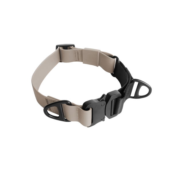 LAMBWOLF AVA MARTINGALE // Quick-release metal buckle collar