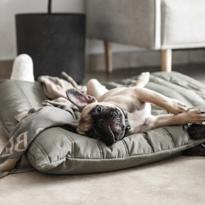 MAATIN // low rise reversible dog bed
