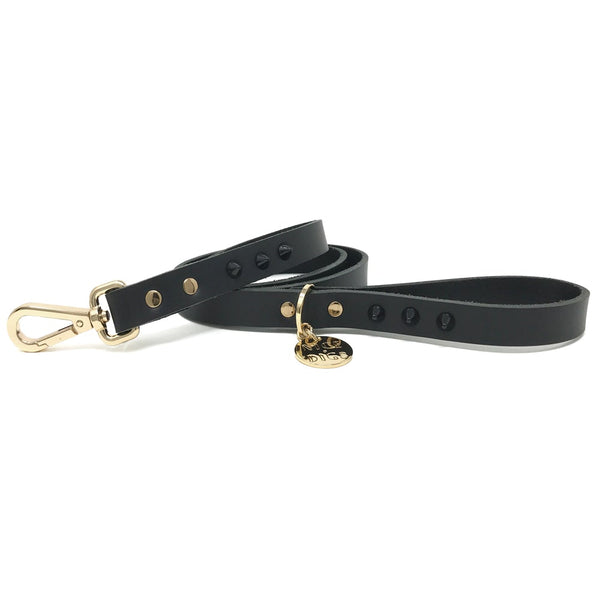 Smooth Spike Leather Collar and Leash set - Black Noir