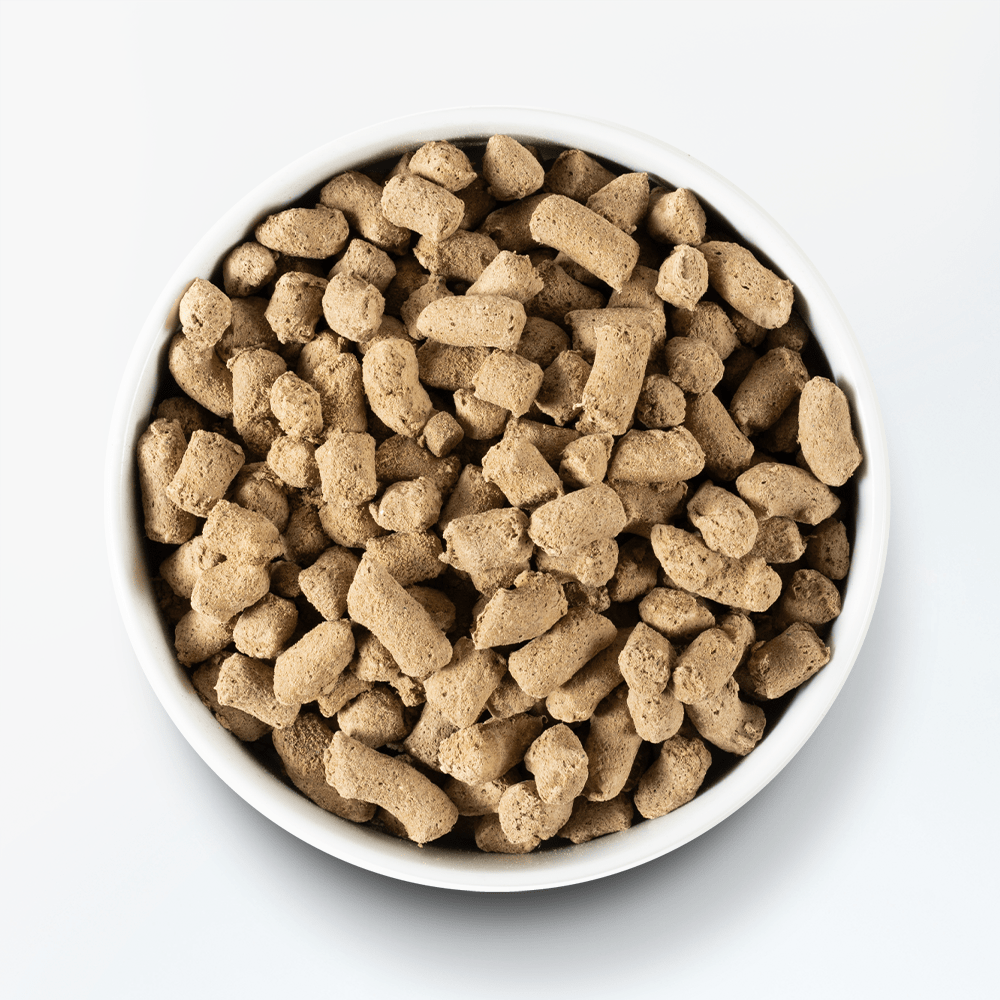 OPEN FARM Harvest Chicken Freeze Dried Raw Dog Food 13.5oz beige bright