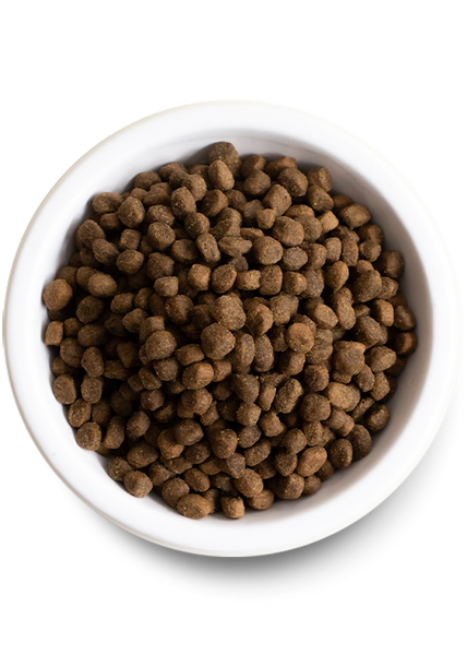 OPEN FARM Pasture-Raised Lamb Dry Dog Food