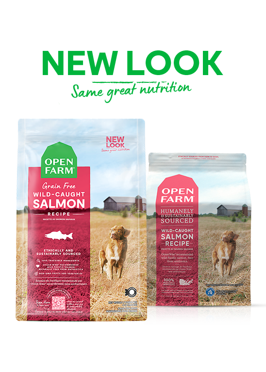 Picture of OPEN FARM Wild-Caught Salmon Dry Dog Food – beige + bright