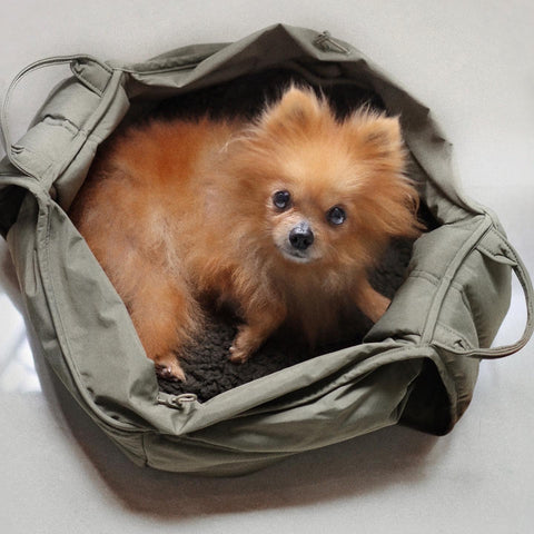 OLLA // Petite pet carrycot