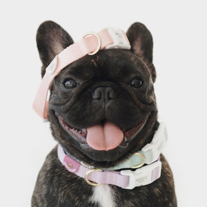 Gentle Pup Collars - Lite Collection